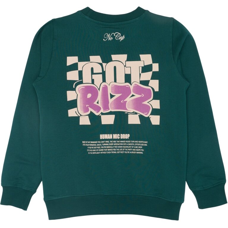 The New reg sweatshirt // deep teal
