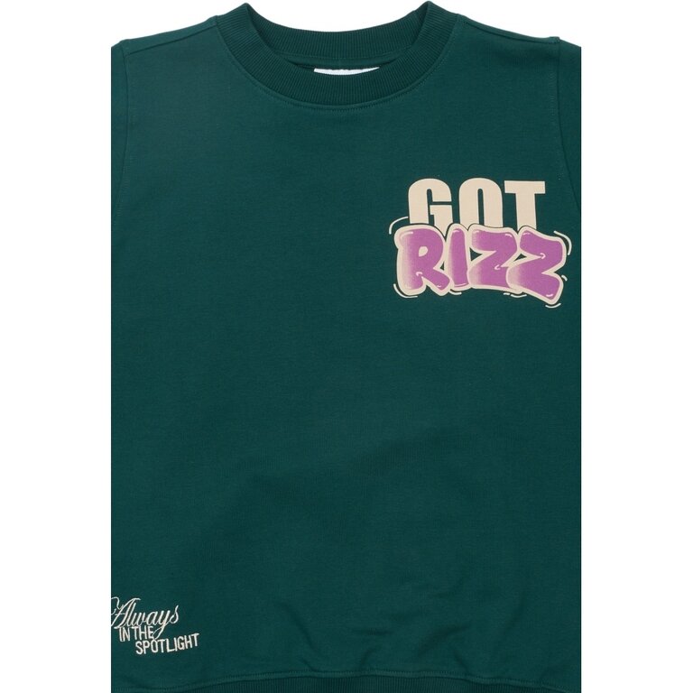 The New reg sweatshirt // deep teal