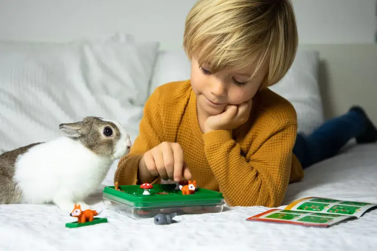 Smart Games jump'in