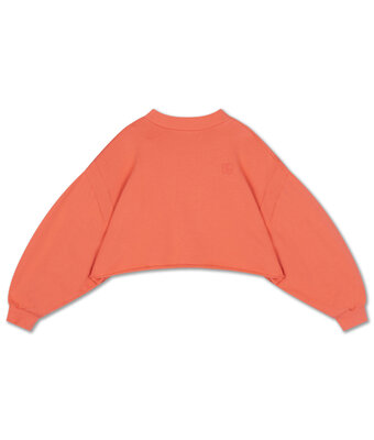 crop heart sweater // coral dusk