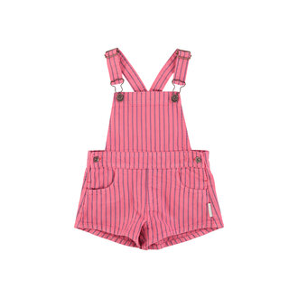 Piupiuchick short dungarees // pink w indigo stripes