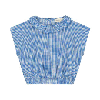 Charlie Petite paige top // blue / white checks