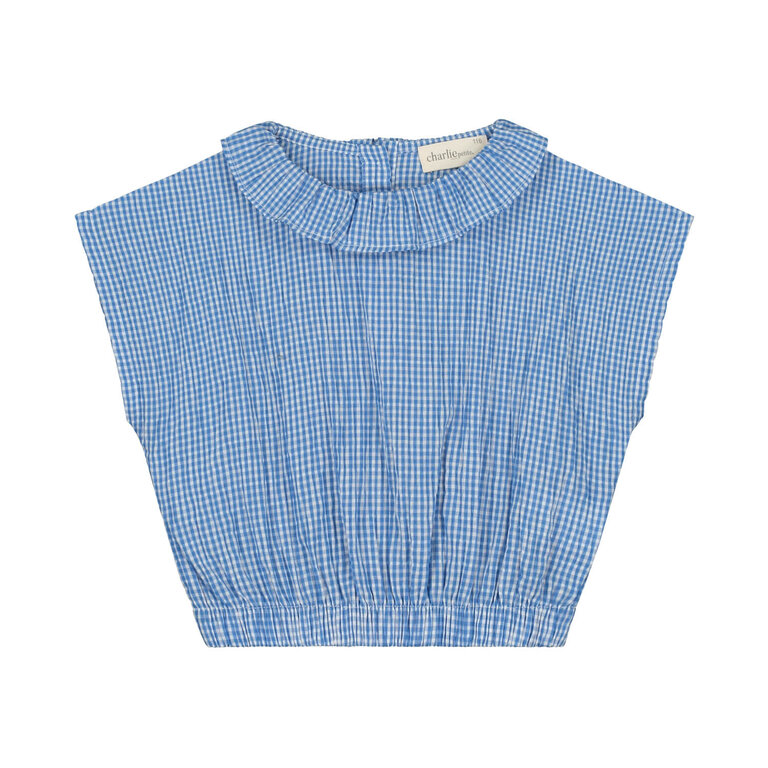 Charlie Petite paige top // blue / white checks