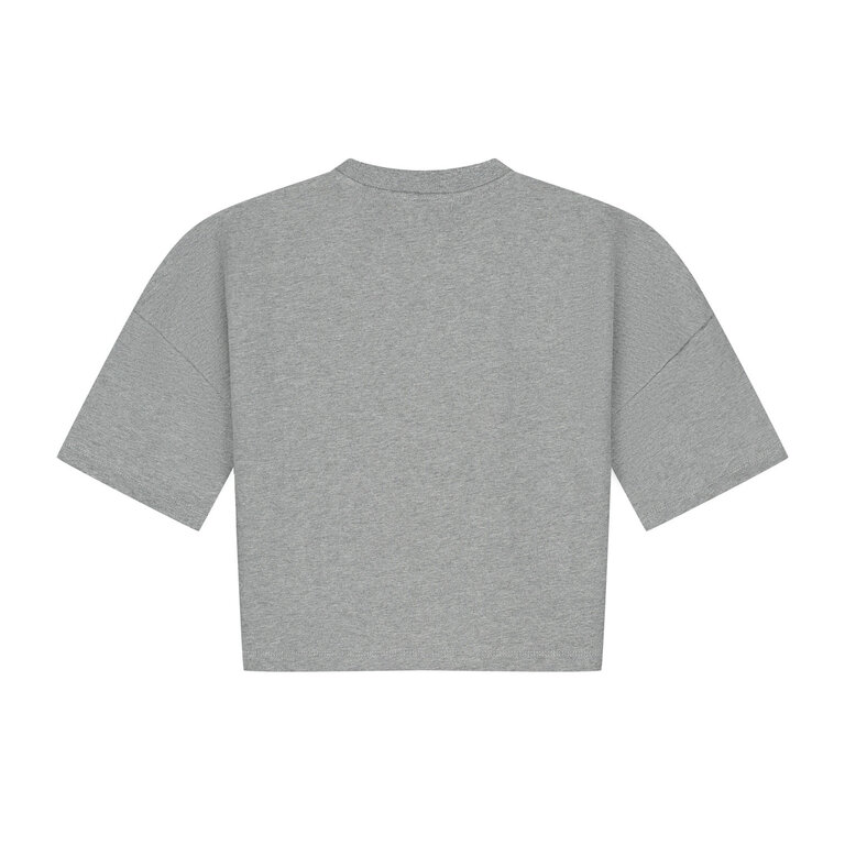 Charlie Petite esmee tshirt // grey melange