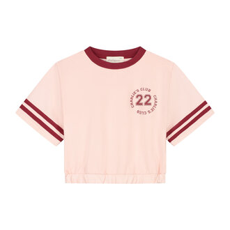 Charlie Petite lianne tshirt // pink washed