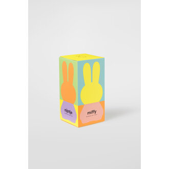 Mr Maria Nachtlampje // Nijntje Colourful Surprise