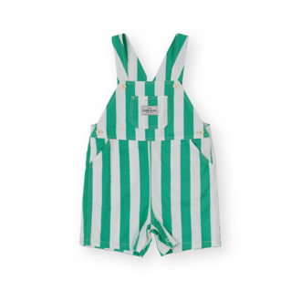 Goldie & Ace button burton overall // happy stripe