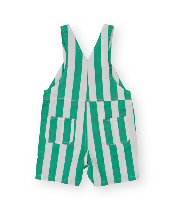 Goldie & Ace button burton overall // happy stripe