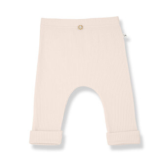 1+ in the family marcel pants // blossom