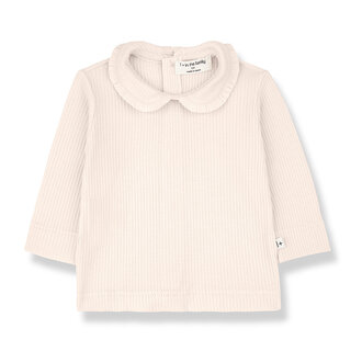 1+ in the family coles longsleeve // blossom