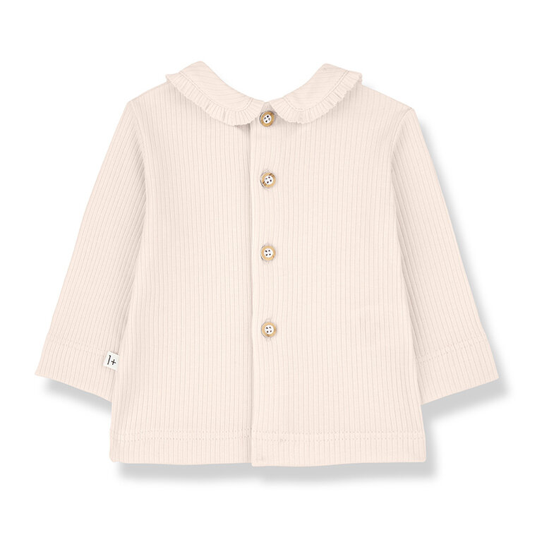 1+ in the family coles longsleeve // blossom