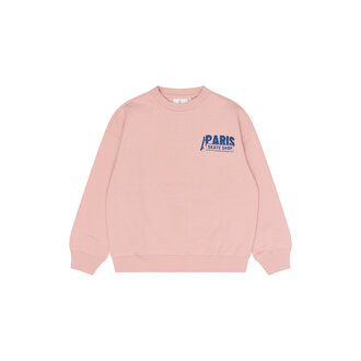 The New seyn sweatshirt // silver pink