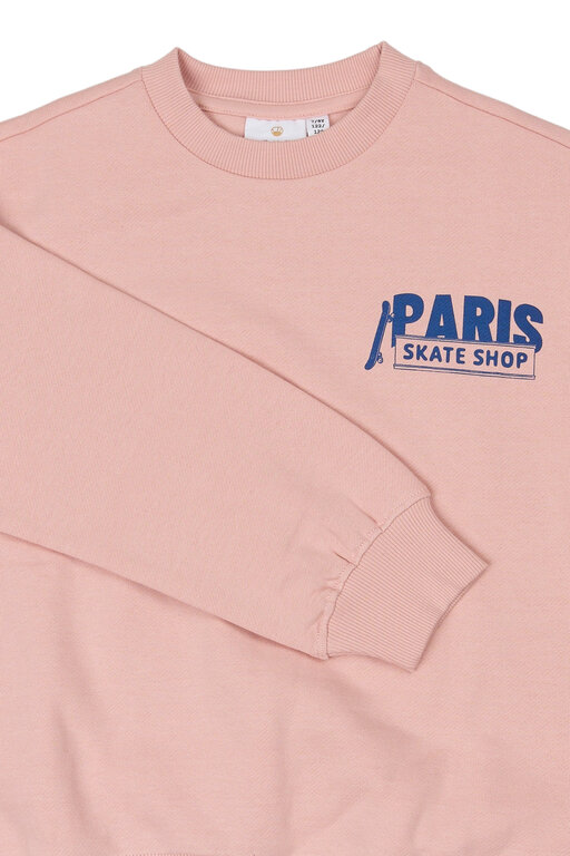 The New seyn sweatshirt // silver pink