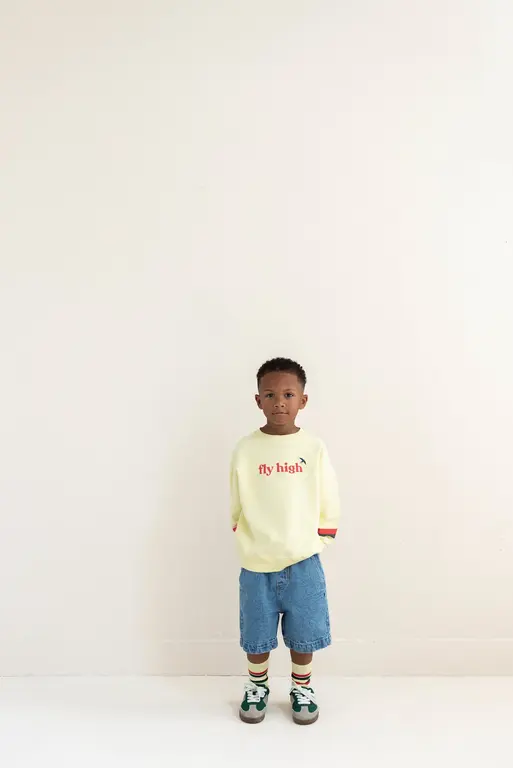 Jenest kai denim shorts // medium wash