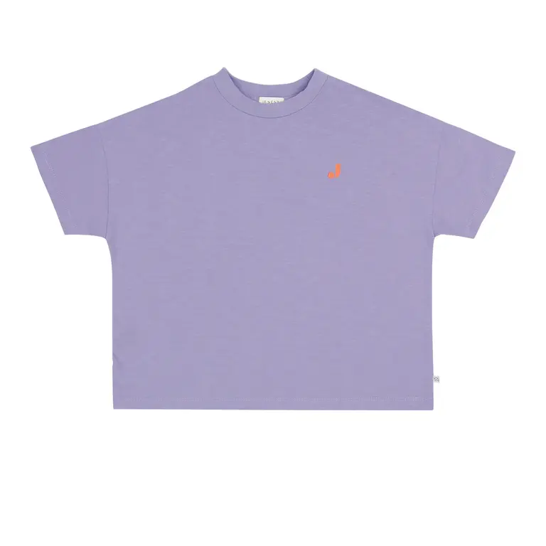 Jenest ben oversized t-shirt // lavender purple