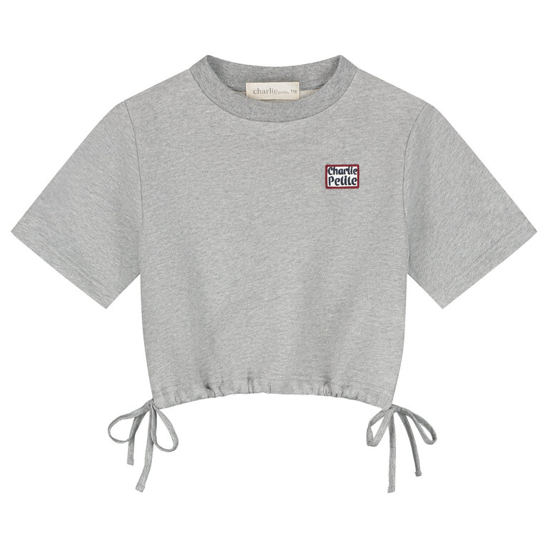 Charlie Petite roxy cropped t-shirt sweater