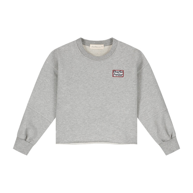 Charlie Petite riva sweater // grey melange