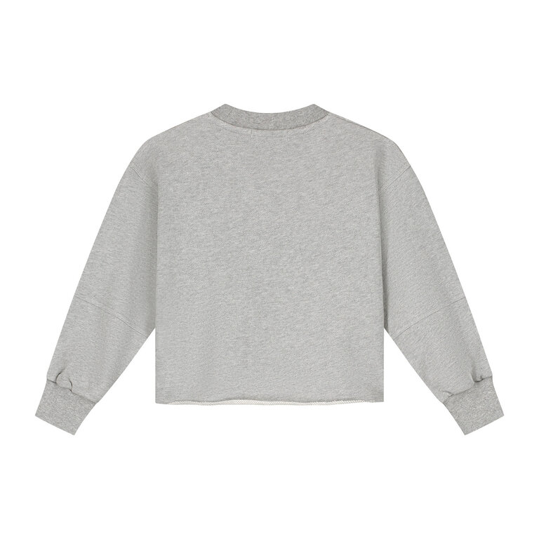Charlie Petite riva sweater // grey melange