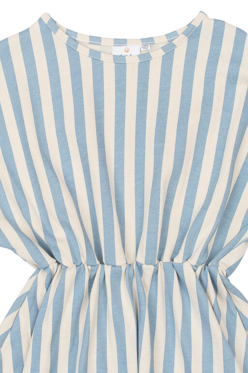 The New talia ss dress // forever blue striped