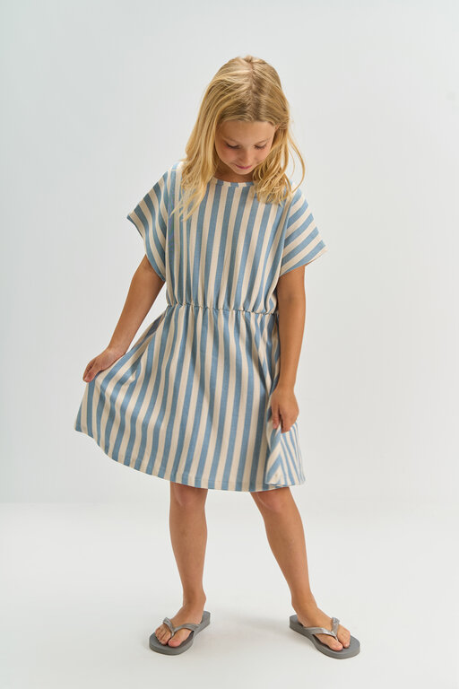 The New talia ss dress // forever blue striped