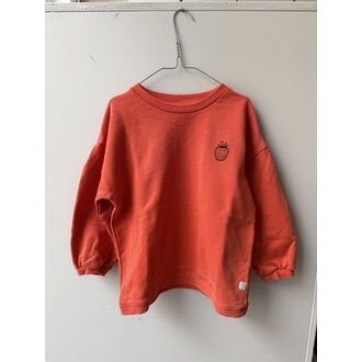 Preloved 10. Sproet&Sprout trui koraal // 10