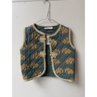 Preloved 8. Ammehoela olifanten bodywarmer groen/goud