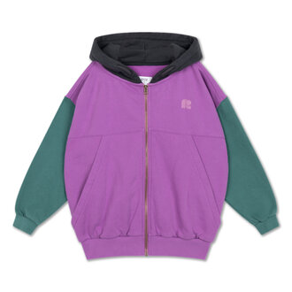 Repose Ams zip hoodie // color block