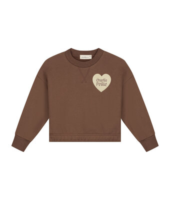 sara sweater // brown