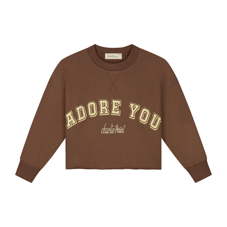 Charlie Petite lux sweater // brown