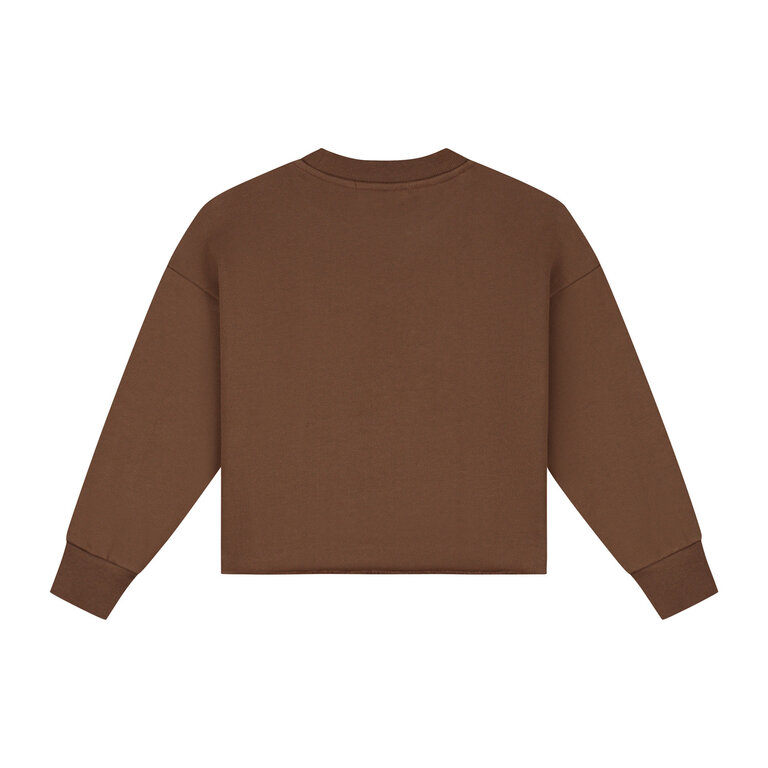 Charlie Petite lux sweater // brown