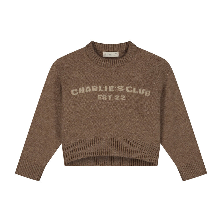 Charlie Petite joan sweater // light brown