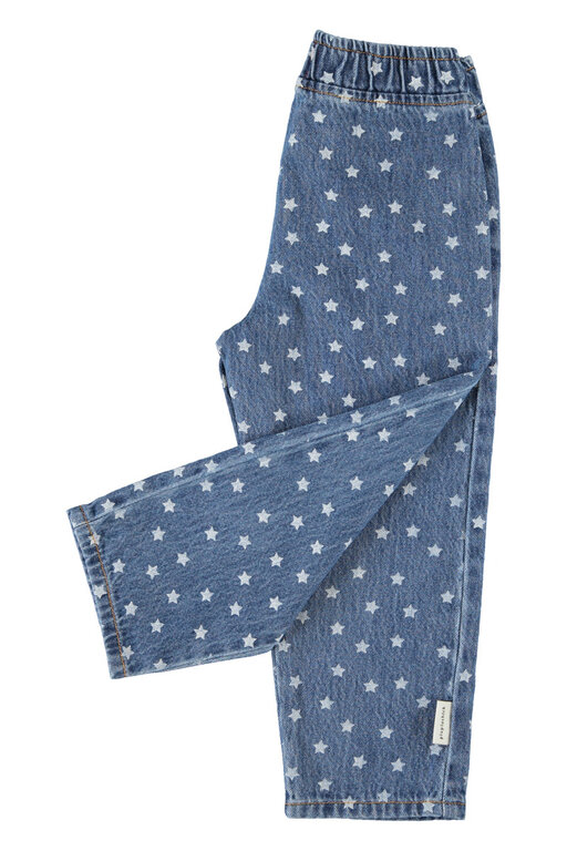 Piupiuchick trousers // washed navy denim with stars