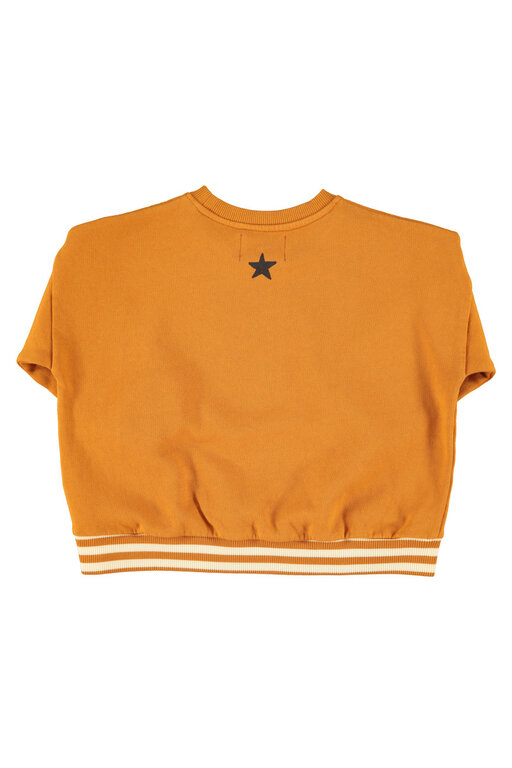Piupiuchick sweatshirt // camel with school trip print