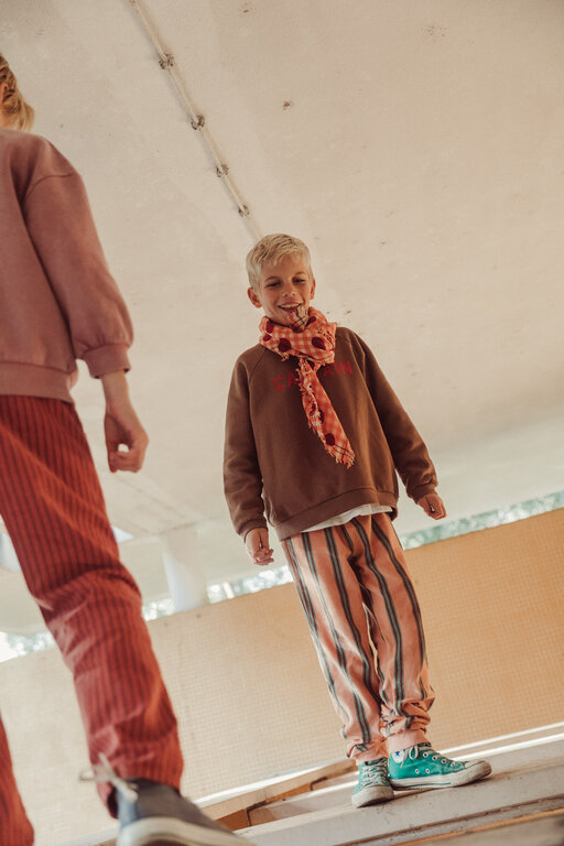 Piupiuchick sweatshirt // brown with captain print
