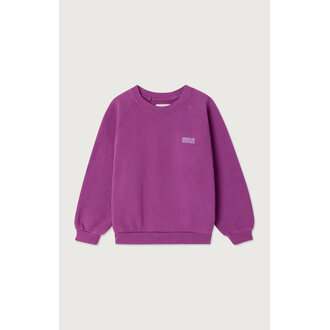 American Vintage izubird sweater // jus de raisin vintage