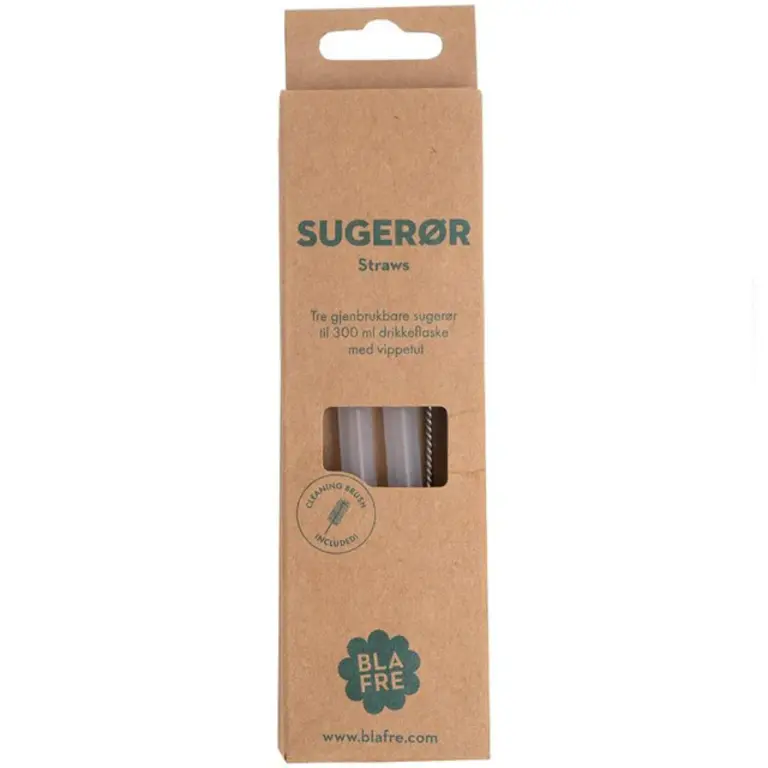 Blafre pack 3 rietjes voor flip top lid stalen fles 300ml