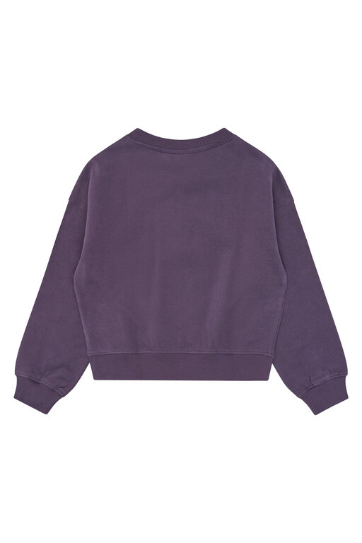 The New Velva os sweatshirt // sweet grape