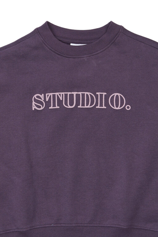 The New Velva os sweatshirt // sweet grape