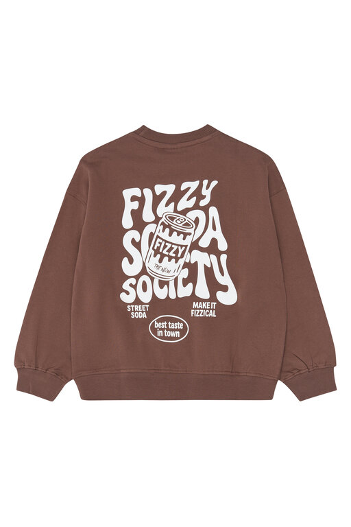 The New valentino sweatshirt // chestnut
