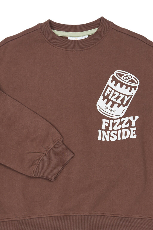 The New valentino sweatshirt // chestnut