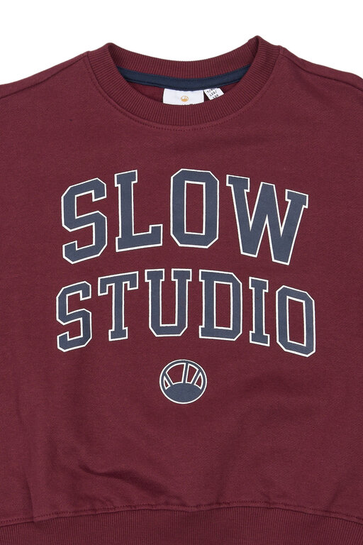 The New valerie sweatshirt // burgundy