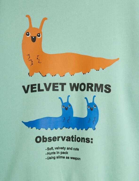 Mini Rodini velvet worms observation sp sweatshirt // green