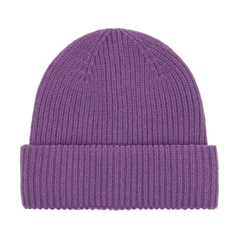 Enfant beanie // bellflower