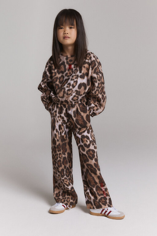 Alix the label leopard sweater // animal