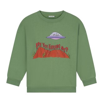 Daily Brat are you kidding me sweater // green