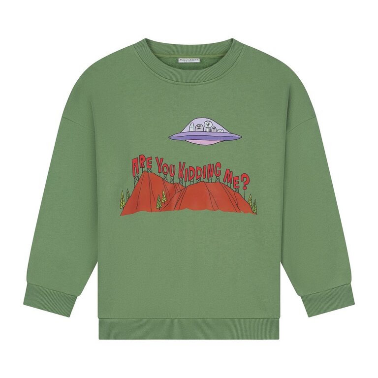 Daily Brat are you kidding me sweater // green