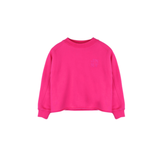 Jenest billie sweater // raspberry pink