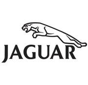 Jaguar Jaguar