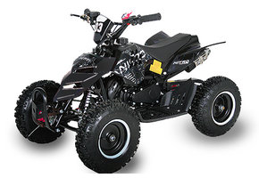 REPTI Miniquad | Easystarter! | 6 inch