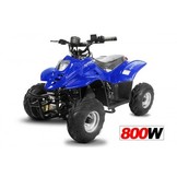 Elektrische Bigfoot Elektrische kinderquad 800W 36V